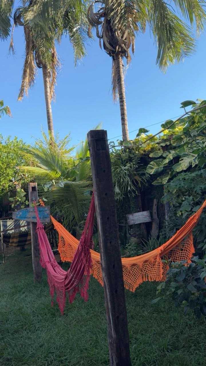 Redes de descanso entre palmeiras no jardim da Pousada Machado